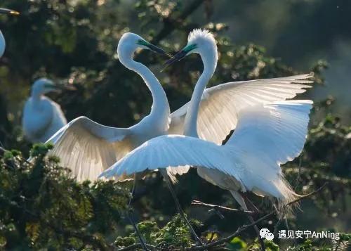 微信图片_20201124093148