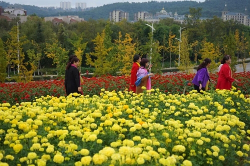 微信图片_20201224092856